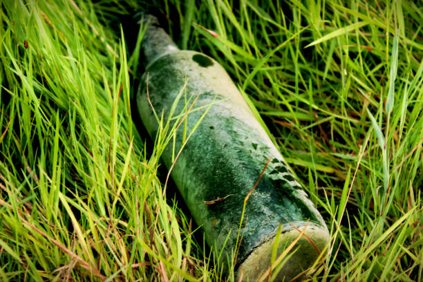 istock Old and green bottle lies on the grass 1245182180