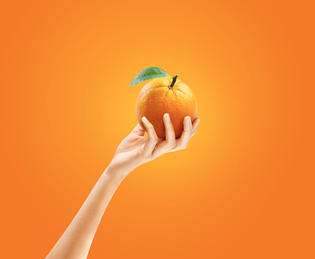 Mano sosteniendo naranjas en tierra anaranjada. Muy buen retoque. photo