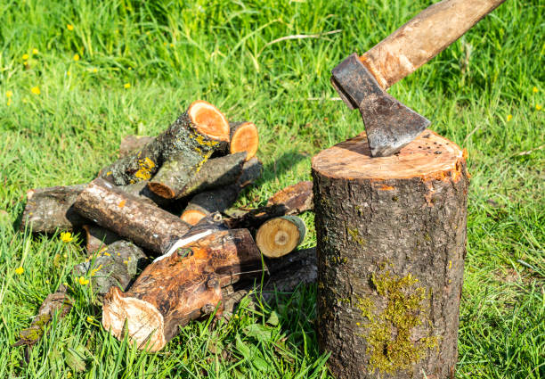 istock Axe in a log with heap of firewoods. 1245213215