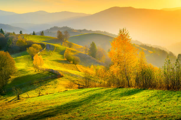 istock Autumn background with alpine meadow 1245218810