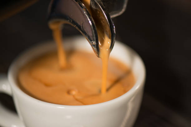 espresso coffee in the white cup under the espresso maker - pouring coffee liquid coffee bean imagens e fotografias de stock