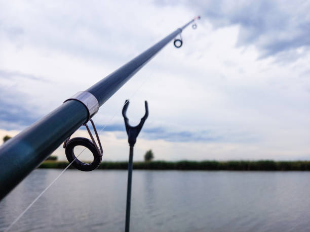 istock fishing rod on the river 1245226895