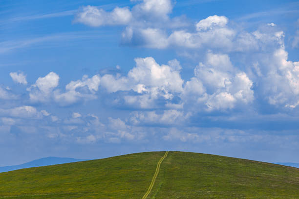 Spring pastures in the mountains in Alsace in the Haut-Rhin