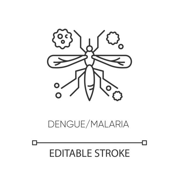 뎅기열, 말라리아 픽셀 완벽한 선형 아이콘입니다. 얇은 라인 사용자 정의 그림입니다. 열대 전염병, 모기 매개 질병 윤곽 기호. 벡터 절연 윤곽선 도면. 편집 가능한 스트로크 - fly line art insect drawing stock illustrations