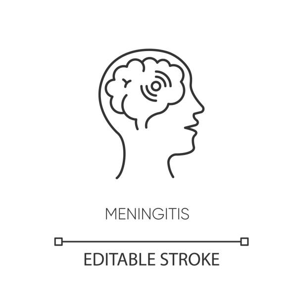 ilustrações, clipart, desenhos animados e ícones de ícone linear perfeito do pixel de meningite. ilustração personalizável de linha fina. doença meningocócica, meninges perigosas símbolo de contorno de inflamação. desenho de contorno isolado do vetor. traçado editável - meningite