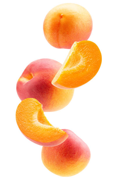 istock falling apricot slices isolated on a white background 1245269867