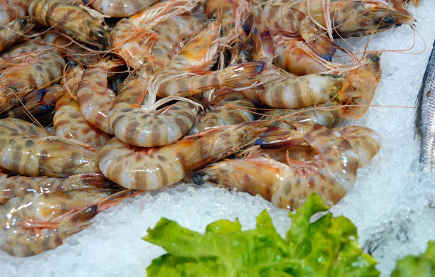 istock Raw Fish Meat Food Shrimp on Ice 1245269922