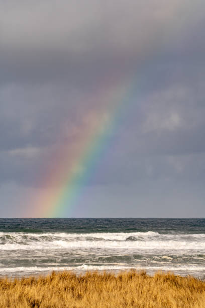 istock Scenic view of rainbow over Pacific Ocean 1245272524