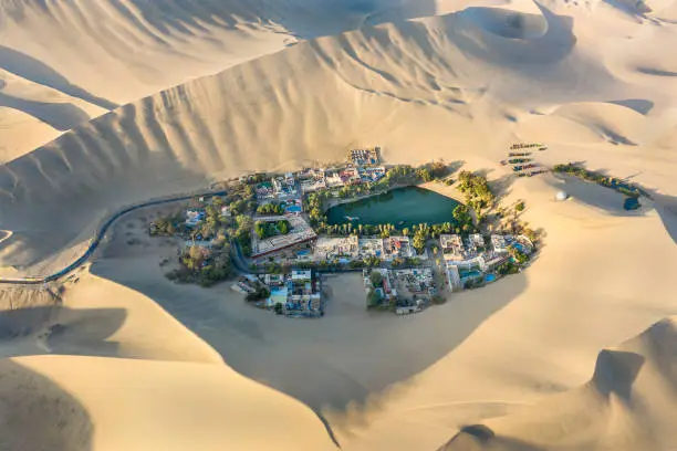 Aerial view of the oasis desert