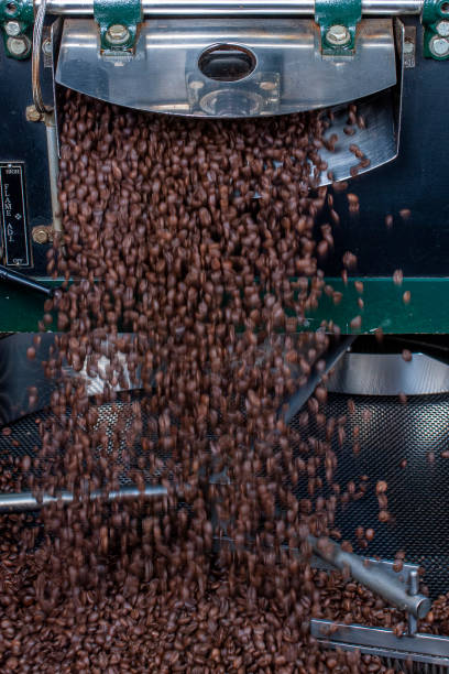istock Freshly Roasted Coffee Beans Being Cooled 1245291635
