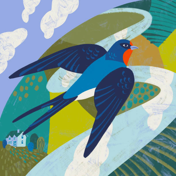 Card Swallow is flying south to warmer places disney character free background stock illustrations