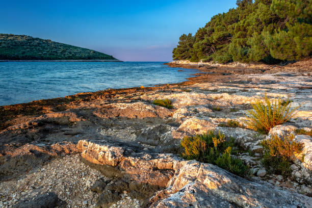 tôt le matin dans une baie près d’une ville de banjole en croatie - morning croatia blue sea photos et images de collection