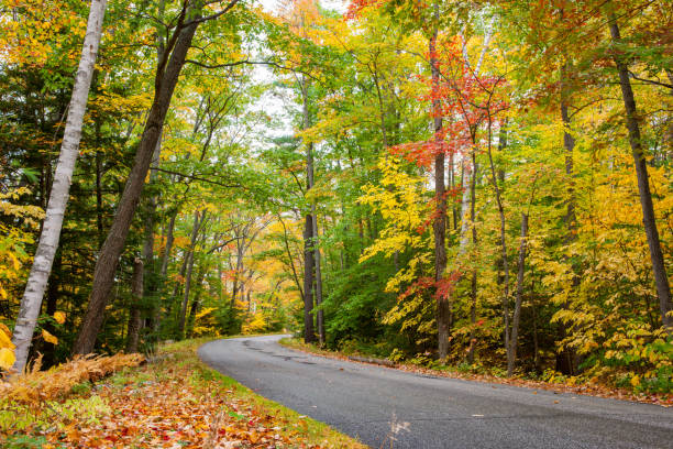 istock Road through New England colorful  forest in fall. 1245311110