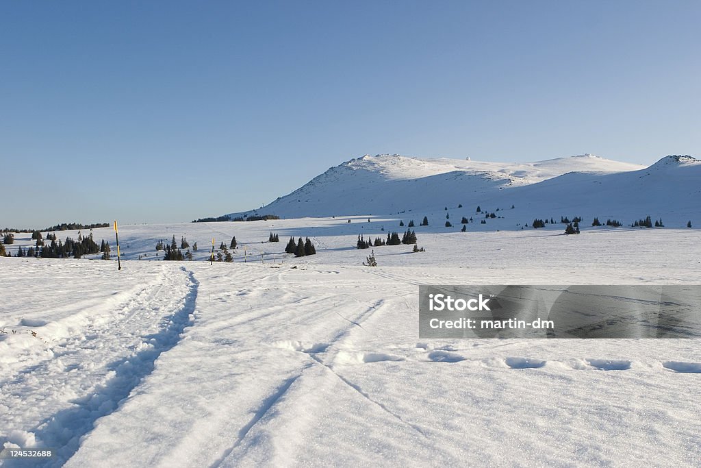 Snow Winter landscape in Vitosha / Bulgaria Backgrounds Stock Photo