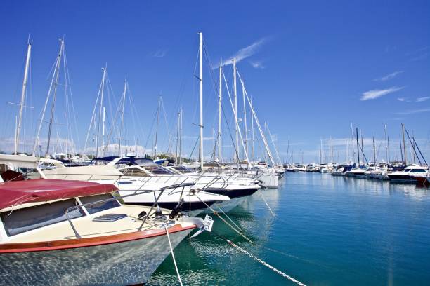 drogie jachty zacumowane na molo w słoneczny letni dzień - clear sky water sports and fitness yacht zdjęcia i obrazy z banku zdjęć