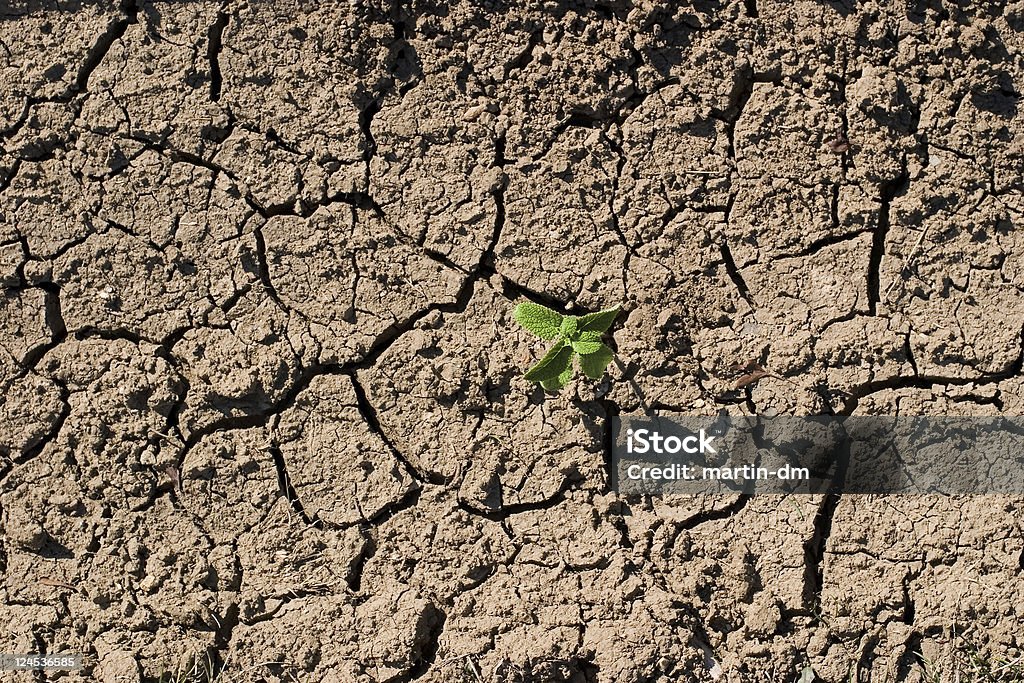 Сухой почвы - Стоковые фото Без людей роялти-фри