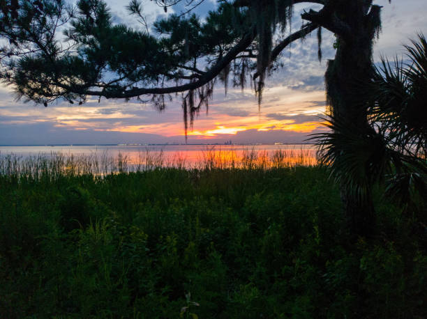 istock Gorgeous summer sunset on Mobile Bay 1245370167