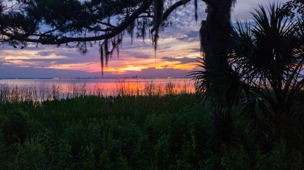 istock Beautiful summer sunset on Mobile Bay 1245372299