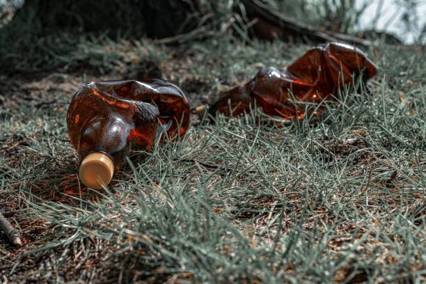 istock Ecology concept. Plastic garbage trash in forest woodland. Rubbish waste in environment. Empty used dirty bottles in the concept of nature conservation from pollution. 1245374362