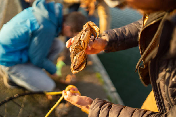 istock Young man holds up crab as his friends continue to fish 1245377070