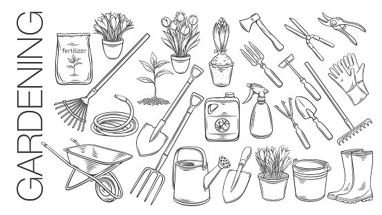Gardening tools and plants or flowers outline icons. Engraved vector of rubber boots, seedling, tulips, gardening can and cutter. Fertilizer, glove, crocus, insecticide, wheelbarrow and watering hose.
