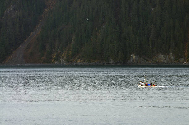 istock Resurrection Bay Fishing Trawler 124539947