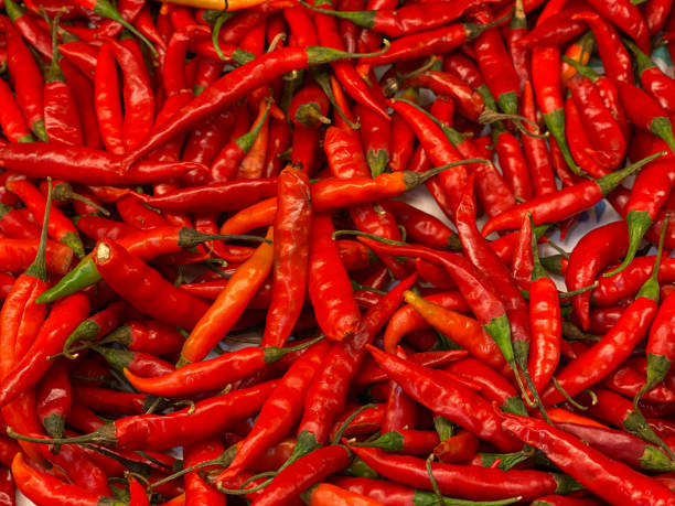 istock Offered for sale, Indian red pepper. 1245404335