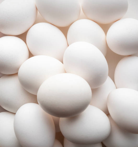 istock Group of eggs in pater tray 1245412513
