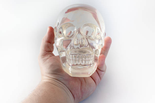 the eternal question of living or not living, imitation of Hamlet. a skull in the hands of a man