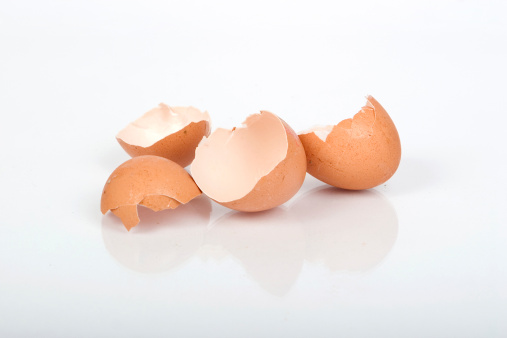 Studio isolated egg shells