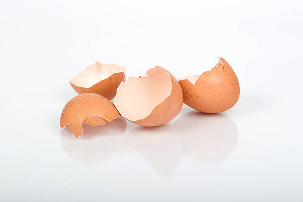Egg shells Studio isolated egg shells eggshell stock pictures, royalty-free photos & images
