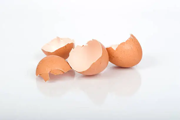 Studio isolated egg shells