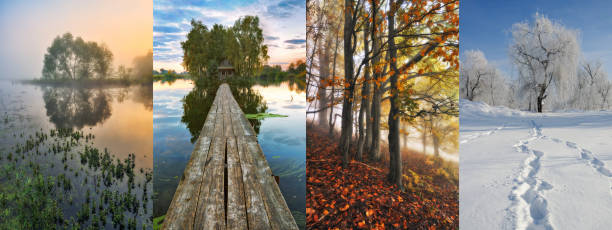 Four Seasons Collage - Spring, Summer, Autumn, Winter