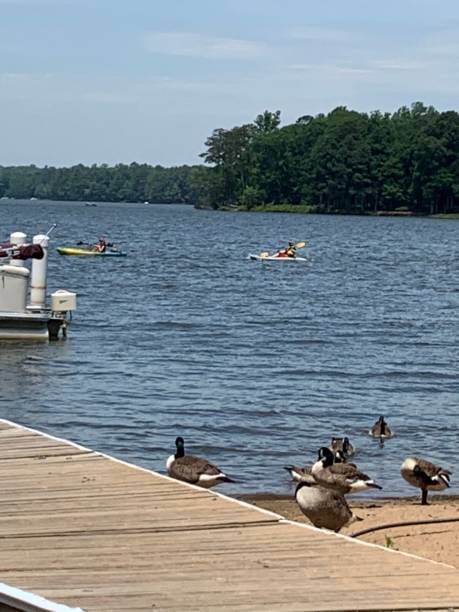 istock View of the lake 1245465002
