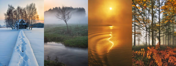 Four Seasons Collage - Spring, Summer, Autumn, Winter