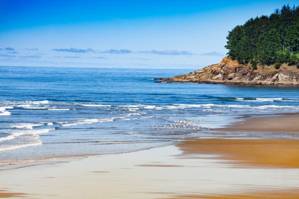 istock Waves on Gold Beach pacific ocean coast, Oregon 1245467453