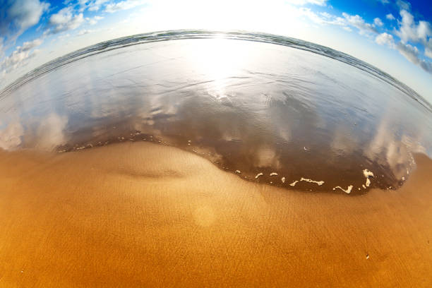istock Sand and water edge on the California beach 1245467482