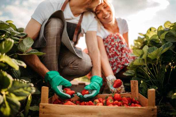 istock Colorful and healthy 1245472252