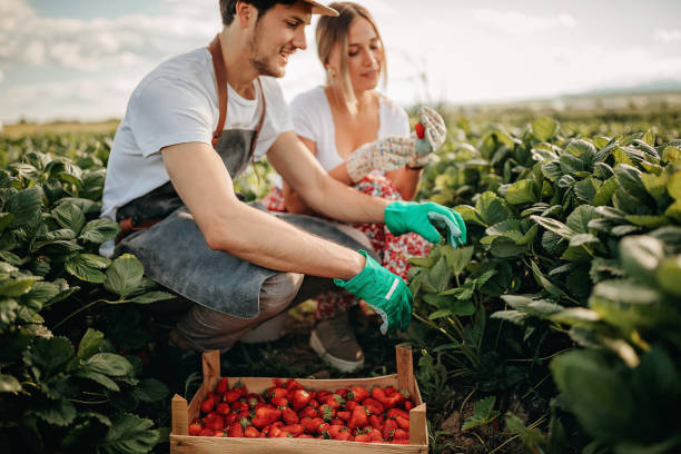 istock Colorful and healthy 1245473461