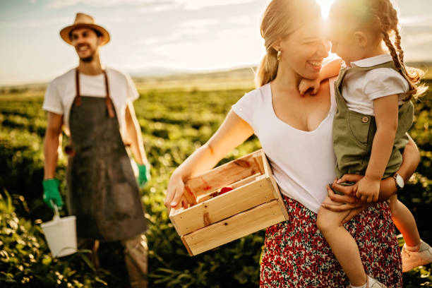 istock Couple with daughter picking strawberries 1245484345