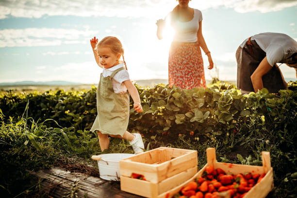 istock Kid enjoying day in nature with parents 1245488515