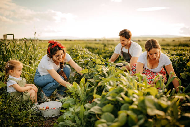 istock We are cultivated from heart 1245495228