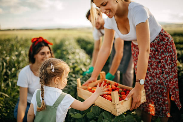istock We are cultivated from heart 1245497985