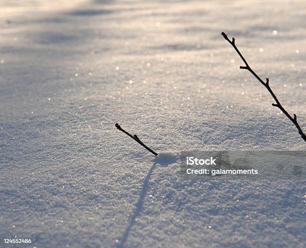 Schneebrigade Stockfoto und mehr Bilder von Ansicht aus erhöhter Perspektive - Ansicht aus erhöhter Perspektive, Bemühung, Bildschärfe