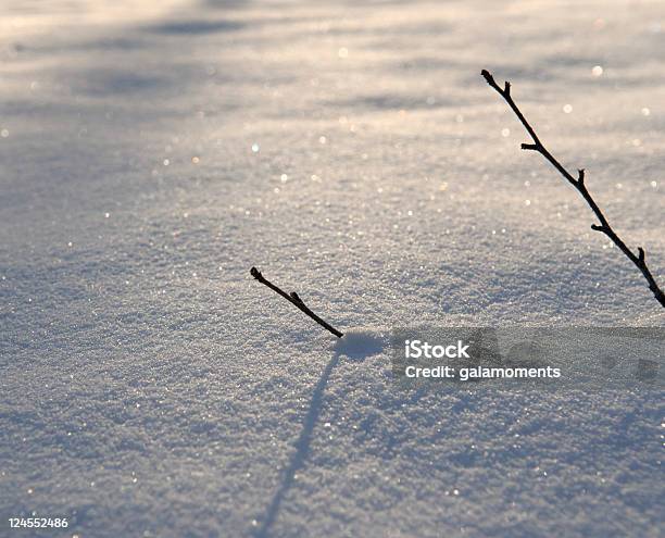 Foto de Brigada De Neve e mais fotos de stock de Batalha - Conceito - Batalha - Conceito, Branco, Com Protuberâncias