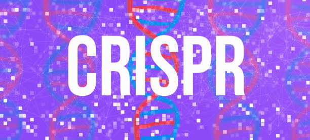 Crispr theme with DNA and abstract lines Crispr theme with DNA and abstract network patterns crispr photos stock pictures, royalty-free photos & images