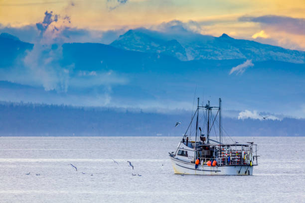 istock Vancouver Island British Columbia 1245544444