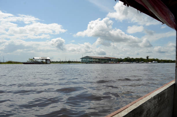 istock beautiful landscapes from the amazon river 1245544701
