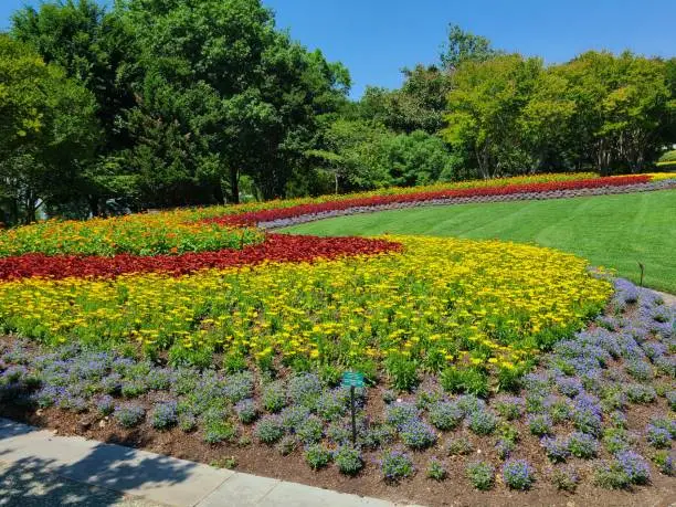 Colorful large gardens