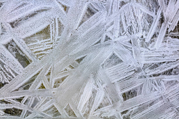 Frost crystals in a pond on a window on Vancouver Island, British Columbia